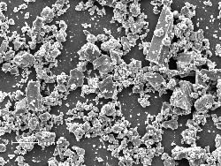 Test Powders 1-Class16]Calcium-carbonate ( heavy )^]SEM^