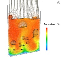 Fluidizedbed_wt_temp